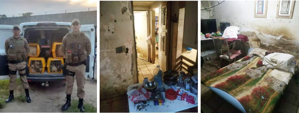 Animais em cativeiro