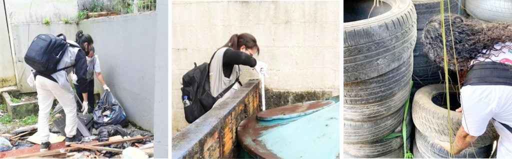 Controle da Dengue Itapema