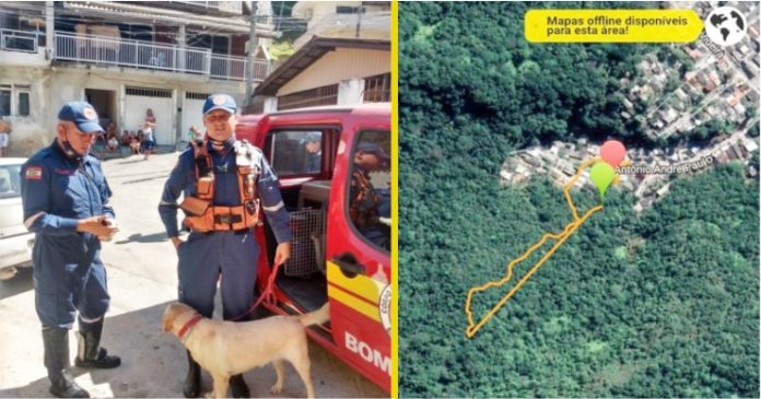 Criança de 5 anos se perde na mata após sair para procurar cachorro