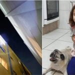Crianca de 5 anos morre apos cair do 4o andar de predio em SC