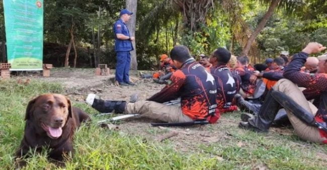 Bombeiros Militares do CBMSC ministram aulas em curso nacional de busca com cães