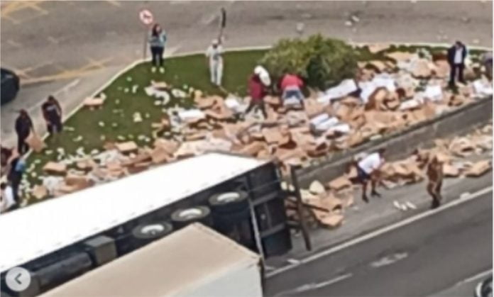 Carreta carregada de taínha tomba na BR-101 em Itapema e carga é saqueada