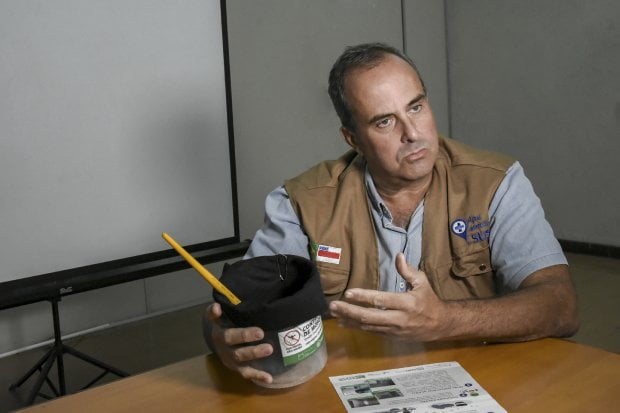 Dengue em SC_ Saúde implementa novo método de armadilhas para disseminar inseticidas
