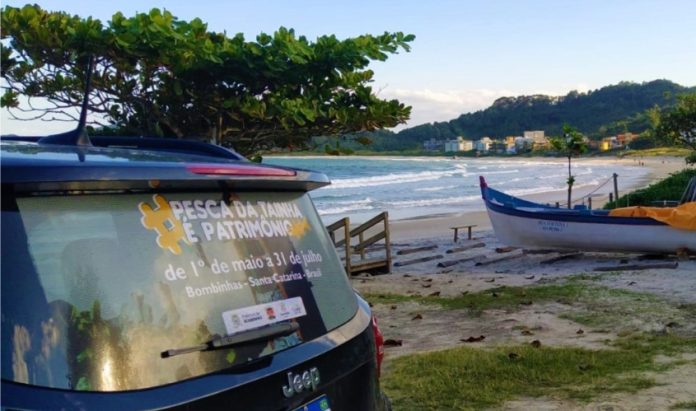 Mais de 150 veículos são plotados com adesivos da pesca da tainha