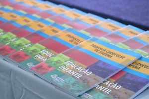 Proposta Curricular da Educacao Infantil