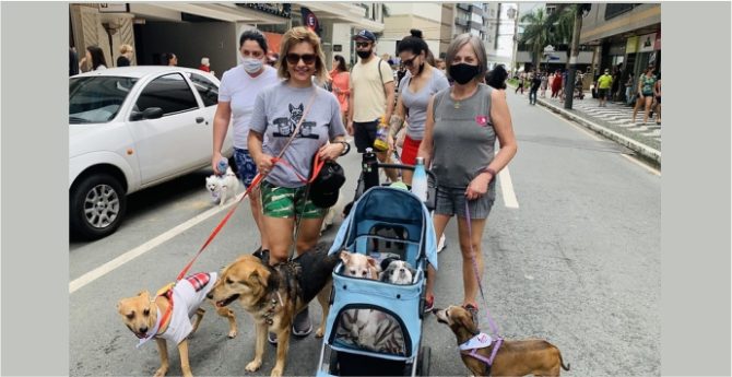 Cãominhada pelas ruas de Balneário Camboriú é neste sábado
