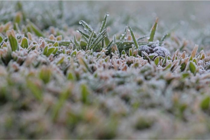 Santa Catarina amanhece com temperaturas negativas e formação de geada