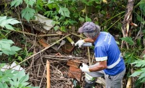 Operacao Lingua Negra ganha reforco com diagnostico apresentado por empresa especializada 1