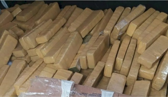 Mais de 140 quilos de maconha são apreendidos na Grande Florianópolis