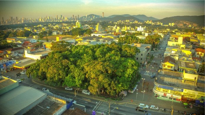Programa evita perda de quase 40 bilhões de litros de água em um ano