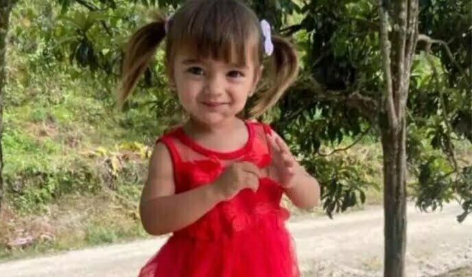 Menina de 2 anos que foi socorrida após se afogar em piscina, morre no hospital em SC