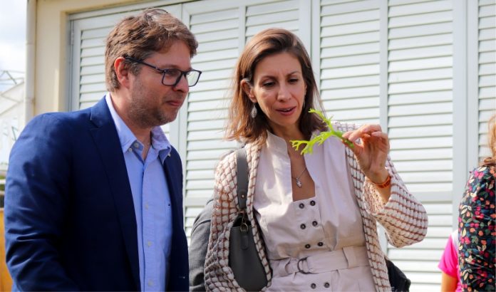Secretaria da Aquicultura e Pesca propõe crédito de tainha para fomentar o repovoamento e viabilizar a pesca