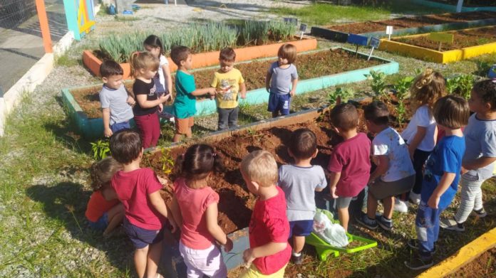 Horta enriquece alimentação da comunidade escolar do NEI Rio das Ostras em BC