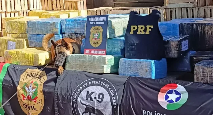 Carga de maconha avaliada em R$ 4 milhões é apreendida com paraguaio na BR-280, no Planalto Norte