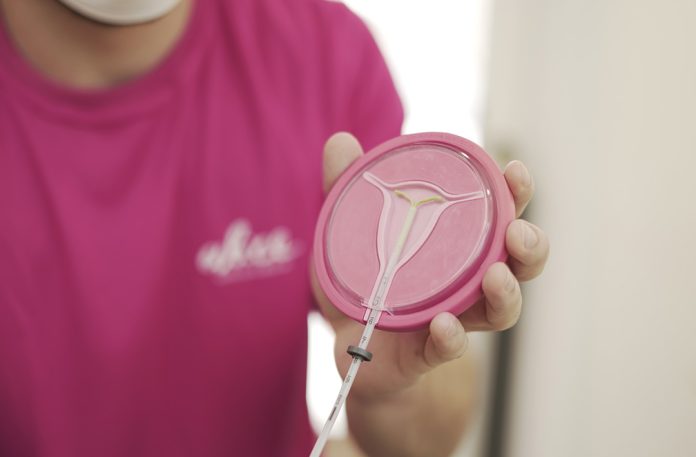 Porto Belo inicia programa voltado para a saúde das mulheres