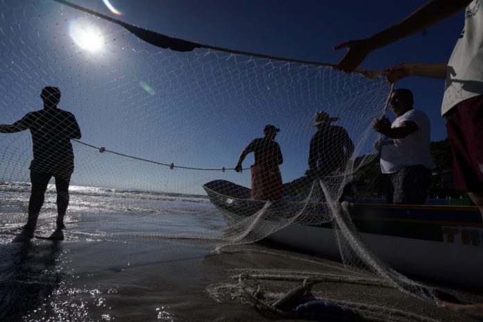 Setor de Aquicultura e Pesca de Santa Catarina fecha o ano com ações de destaque
