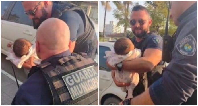Agentes de trânsito resgatam bebê engasgado em Santa Catarina