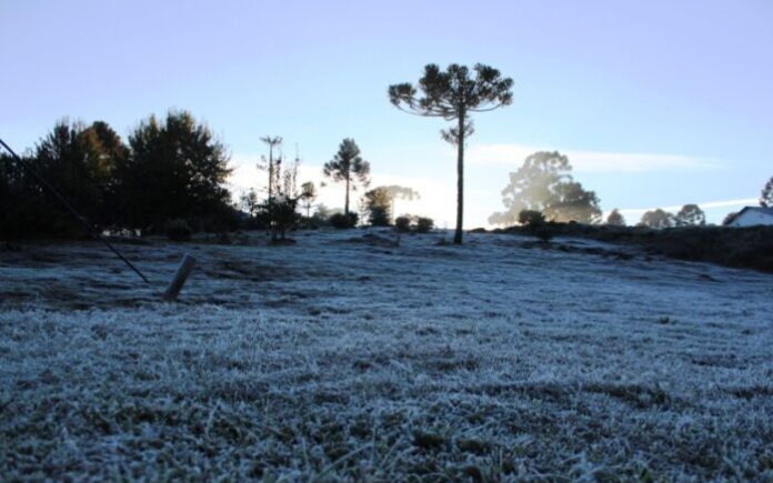 Santa Catarina enfrenta temperaturas negativas com geada nos próximos dias