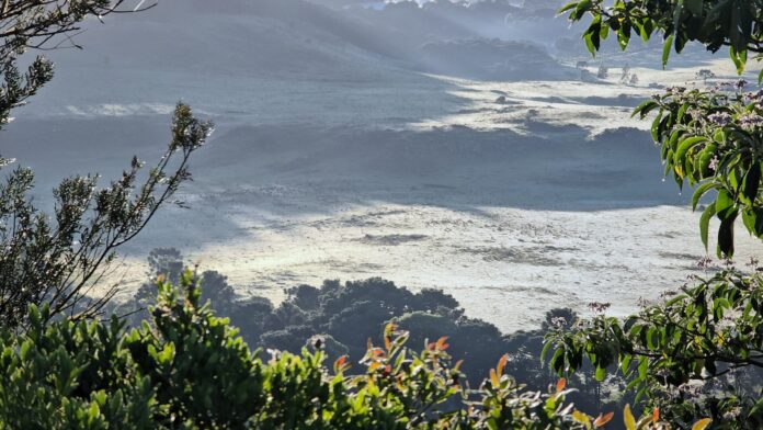 Geada surpreende e pinta de branco a primavera em São Joaquim