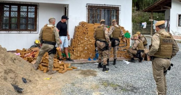 Polícia desarticula esquema de tráfico e apreende 860 kg de drogas em SC