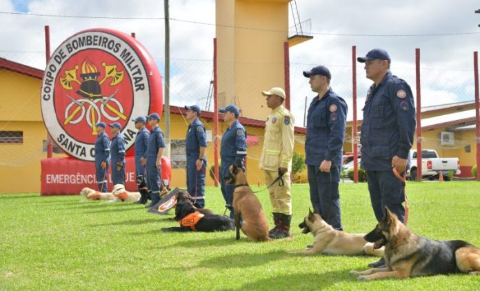 Binômios do CBMSC obtêm certificação nacional em busca e resgate