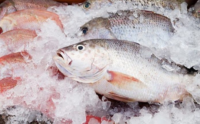 Cidasc reforça orientações para compra segura de pescados na Semana Santa