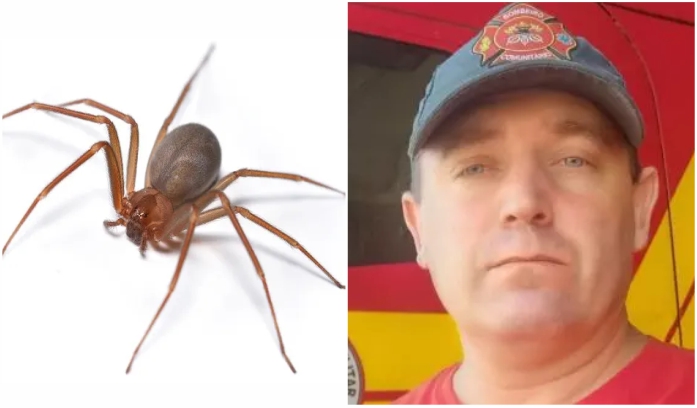 Bombeiro de Itapema em estado crítico após infecção grave causada por picada de aranha-