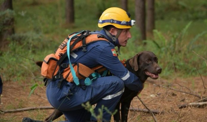 Bombeiro e cão catarinenses alcançam recorde nacional de certificações