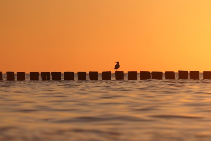 Pixabay - Temperaturas_Divulgação