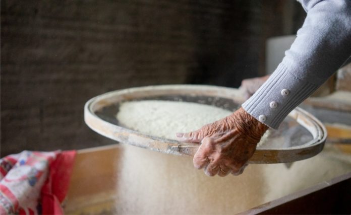 Bombinhas celebra tradição com primeira Farinhada do Sertão