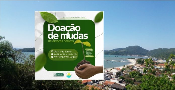 Porto Belo incentiva arborização com doação de mudas nativas
