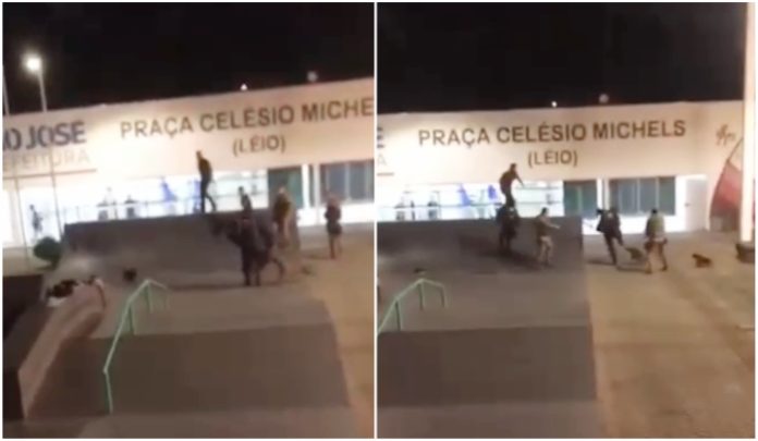 Cachorro ataca adolescente e socorrista_ ação em praça de São José termina em disparos