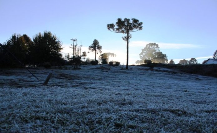 Semana começa gelada em SC com geada, perigo à saúde e frio intensificado