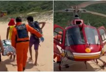 Ataque de capivara em área preservada assusta banhistas na Lagoinha do Leste