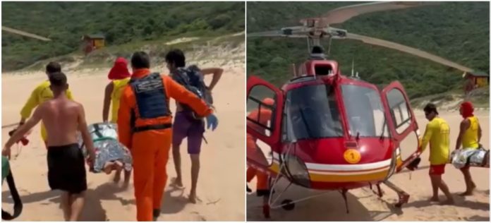 Ataque de capivara em área preservada assusta banhistas na Lagoinha do Leste