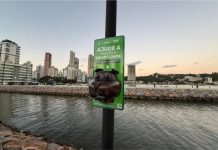 Itapema instala pontos com saquinhos biodegradáveis para estimular cuidado com praias