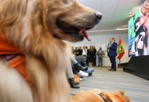 Programa Pet Levado a Sério entra em ação no Estado com repasses e mutirões de castração