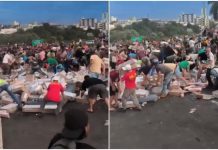 VÍDEO: Acidente com caminhão termina em corrida por carga de carne na BR-282