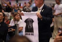 Decreto “Justiça por Orelha” aumenta punições para quem maltratar animais no Brasil