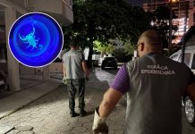 Ações de vigilância reduzem presença de escorpiões no Balneário Perequê