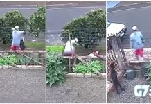 VÍDEO: Jovem de 17 anos é morta a facadas pelo ex-companheiro enquanto caminhava com bebê no colo no PR