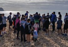 Escolas de Surf de Itapema levam alunos para vivência ambiental nas praias do município