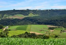 Pelo Estado 03/05: Cooperativas impulsionam a economia de Santa Catarina