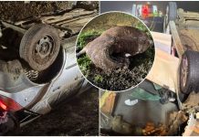 Acidente envolvendo cavalo na pista mobiliza resgate e causa capotamento de carros na BR-280