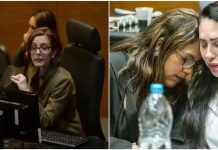 Caso Henry Borel: referência do feminismo jurídico questiona decisão que beneficiou Monique Medeiros