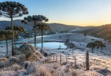 Onda de frio ganha força e Serra Catarinense pode registrar temperaturas de até -8°C