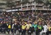 Praça da Paz reúne centenas de torcedores e vira palco da festa pela classificação do Brasil