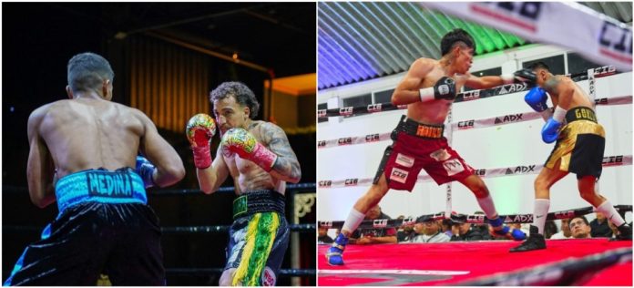 Balneário Camboriú recebe evento internacional de boxe com disputas por cinturões da WBO
