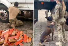 PRF apreende 581 quilos de maconha escondidos em tanque de combustível de caminhão em SC