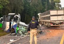 Acidente na BR-373: o que se sabe sobre a tragédia que matou 23 pessoas no Paraná